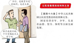 宪法漫画,图解国家根本大法